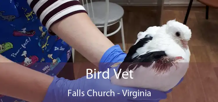 Bird Vet Falls Church - Virginia