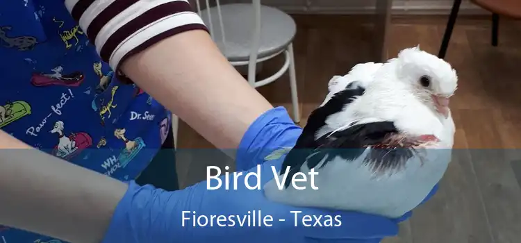 Bird Vet Fioresville - Texas