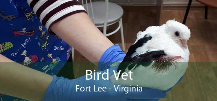 Bird Vet Fort Lee - Virginia
