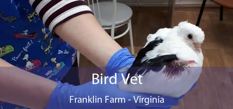 Bird Vet Franklin Farm - Virginia