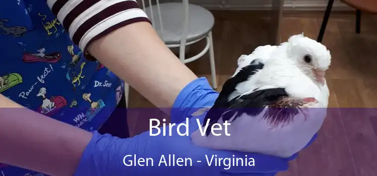 Bird Vet Glen Allen - Virginia