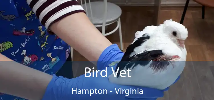 Bird Vet Hampton - Virginia