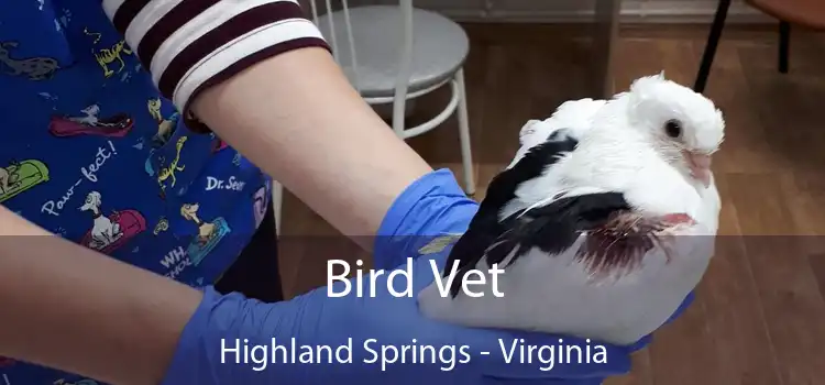 Bird Vet Highland Springs - Virginia