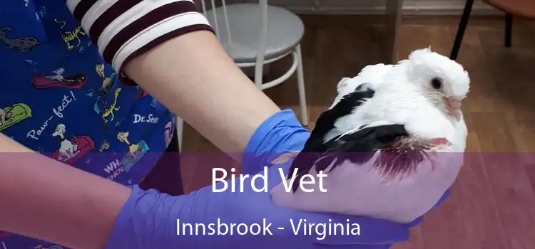 Bird Vet Innsbrook - Virginia