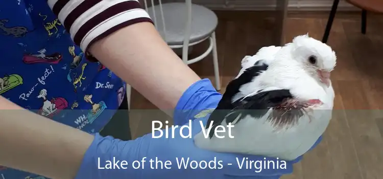 Bird Vet Lake of the Woods - Virginia