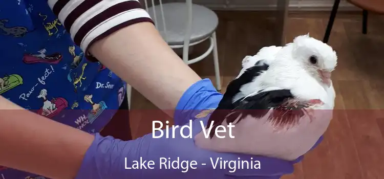 Bird Vet Lake Ridge - Virginia