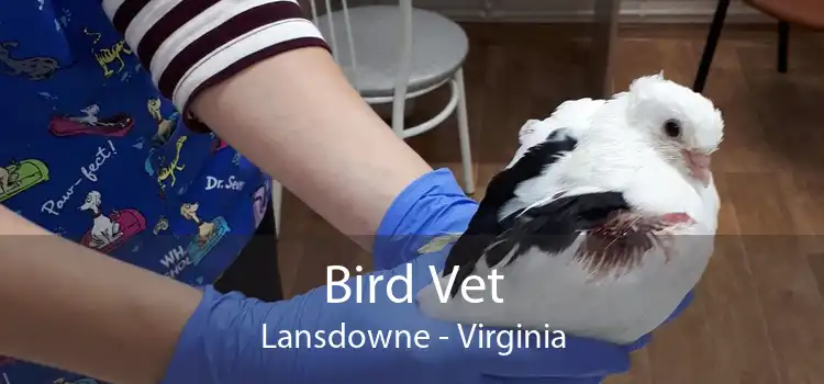 Bird Vet Lansdowne - Virginia
