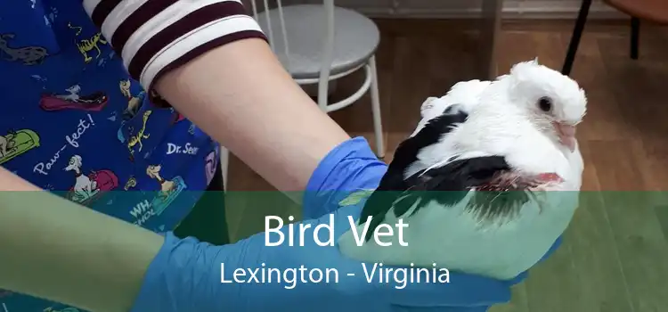 Bird Vet Lexington - Virginia