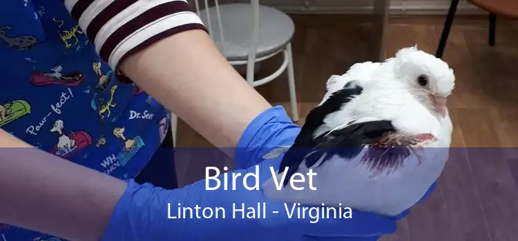 Bird Vet Linton Hall - Virginia
