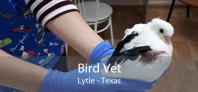Bird Vet Lytle - Texas