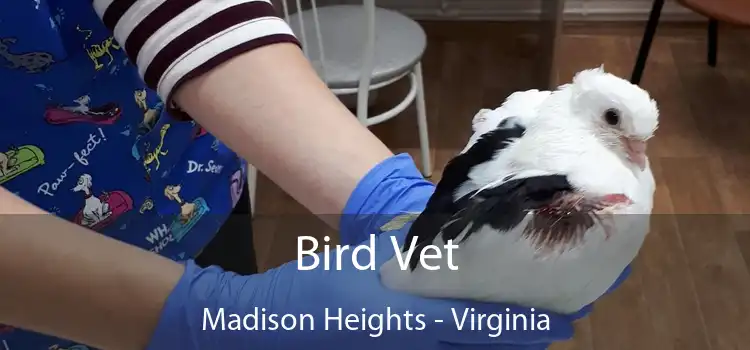 Bird Vet Madison Heights - Virginia