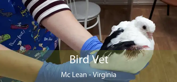 Bird Vet Mc Lean - Virginia