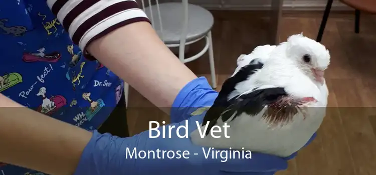 Bird Vet Montrose - Virginia