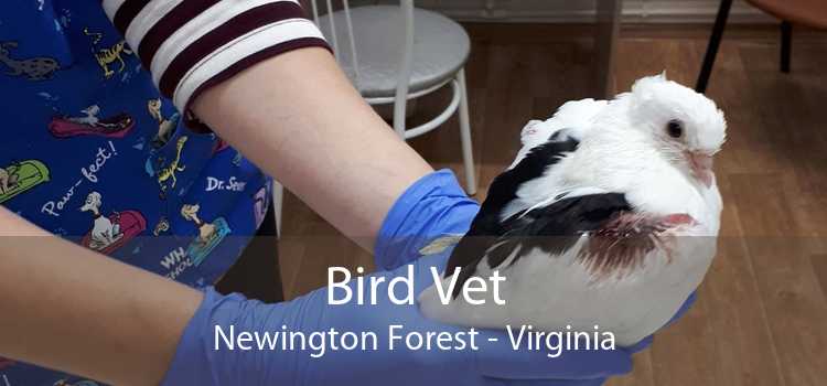 Bird Vet Newington Forest - Virginia