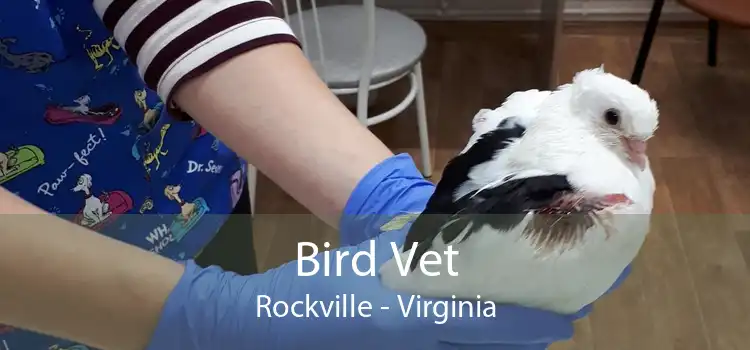 Bird Vet Rockville - Virginia