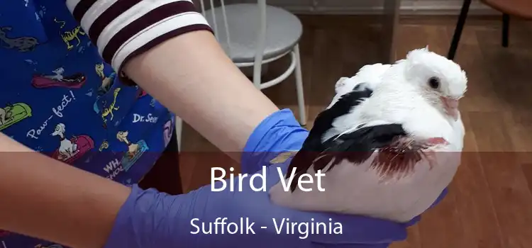 Bird Vet Suffolk - Virginia