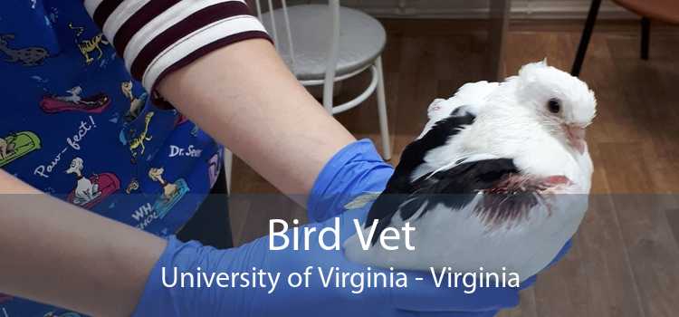Bird Vet University of Virginia - Virginia