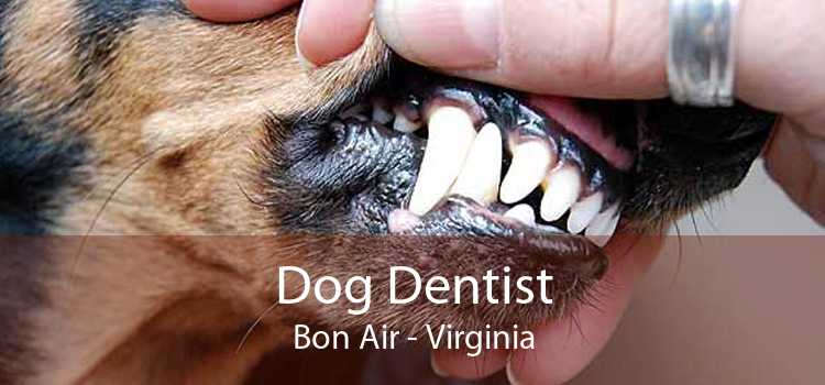 Dog Dentist Bon Air - Virginia