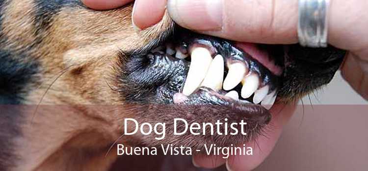 Dog Dentist Buena Vista - Virginia