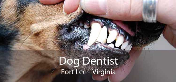Dog Dentist Fort Lee - Virginia