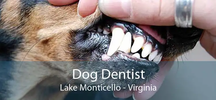 Dog Dentist Lake Monticello - Virginia