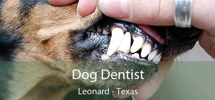 Dog Dentist Leonard - Texas