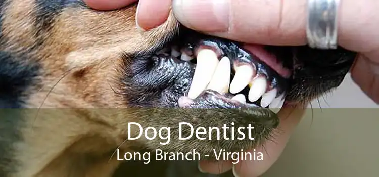 Dog Dentist Long Branch - Virginia