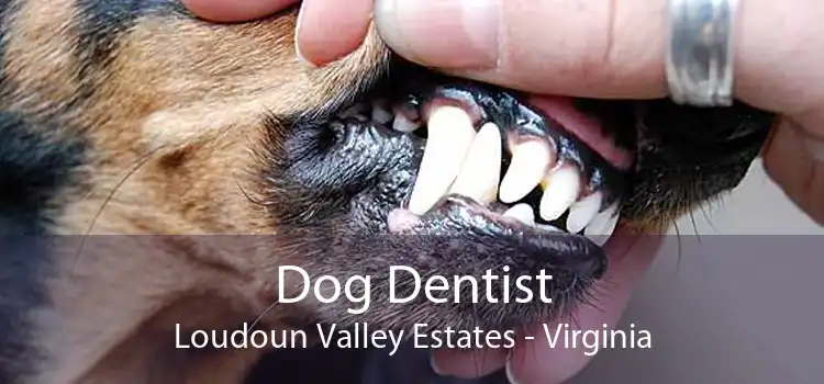 Dog Dentist Loudoun Valley Estates - Virginia