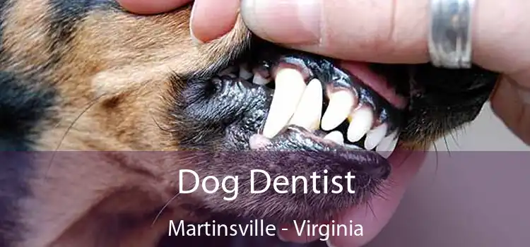 Dog Dentist Martinsville - Virginia