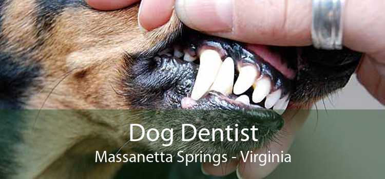 Dog Dentist Massanetta Springs - Virginia