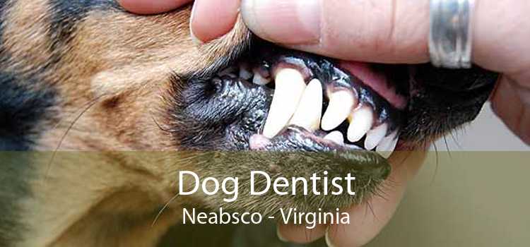 Dog Dentist Neabsco - Virginia
