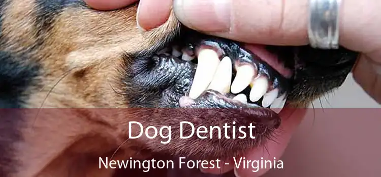 Dog Dentist Newington Forest - Virginia