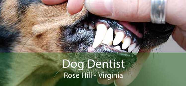 Dog Dentist Rose Hill - Virginia