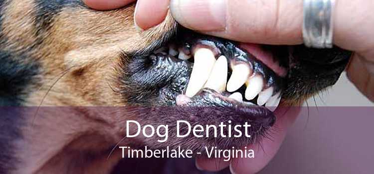 Dog Dentist Timberlake - Virginia