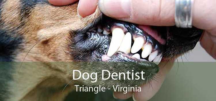 Dog Dentist Triangle - Virginia