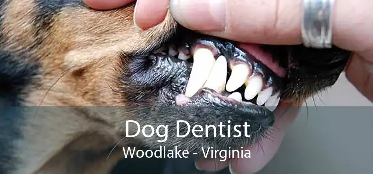 Dog Dentist Woodlake - Virginia