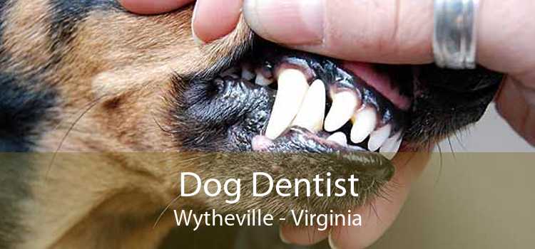 Dog Dentist Wytheville - Virginia