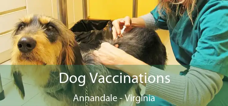 Dog Vaccinations Annandale - Virginia