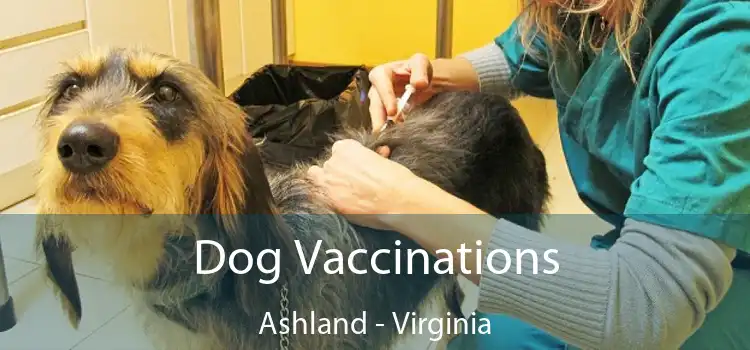 Dog Vaccinations Ashland - Virginia