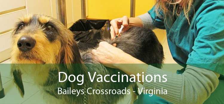 Dog Vaccinations Baileys Crossroads - Virginia