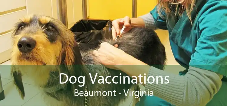 Dog Vaccinations Beaumont - Virginia