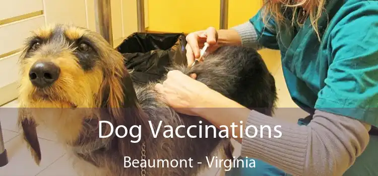 Dog Vaccinations Beaumont - Virginia