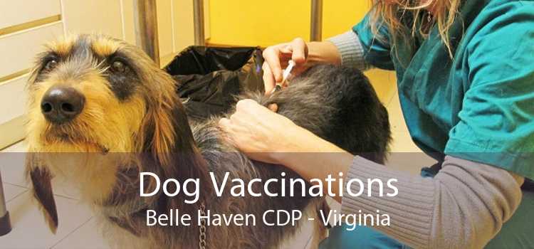 Dog Vaccinations Belle Haven CDP - Virginia