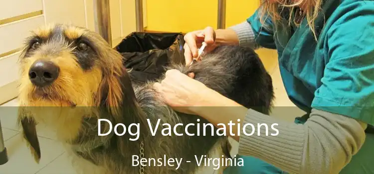 Dog Vaccinations Bensley - Virginia