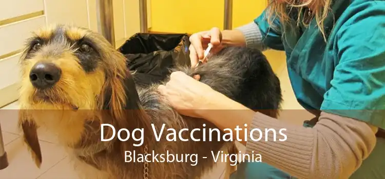 Dog Vaccinations Blacksburg - Virginia