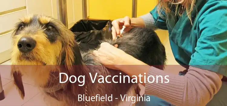 Dog Vaccinations Bluefield - Virginia