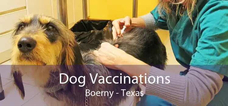Dog Vaccinations Boerny - Texas