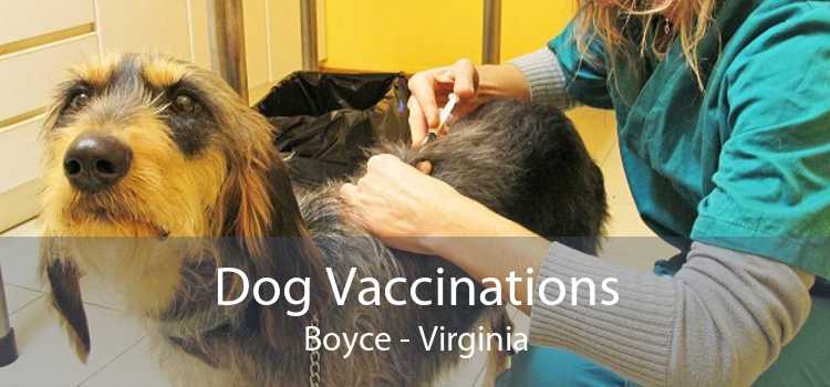 Dog Vaccinations Boyce - Virginia