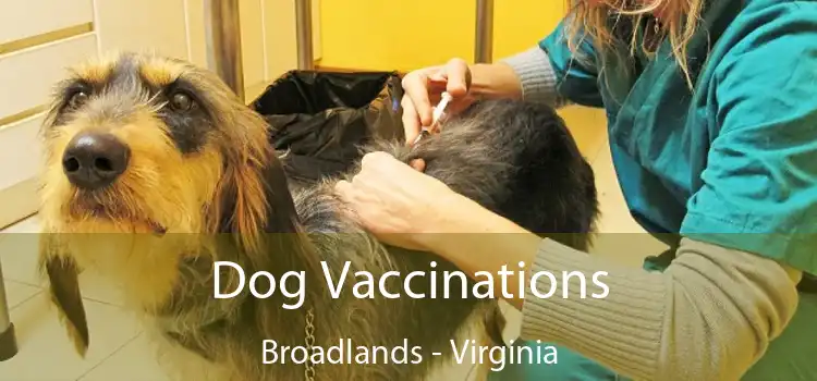 Dog Vaccinations Broadlands - Virginia