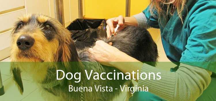 Dog Vaccinations Buena Vista - Virginia